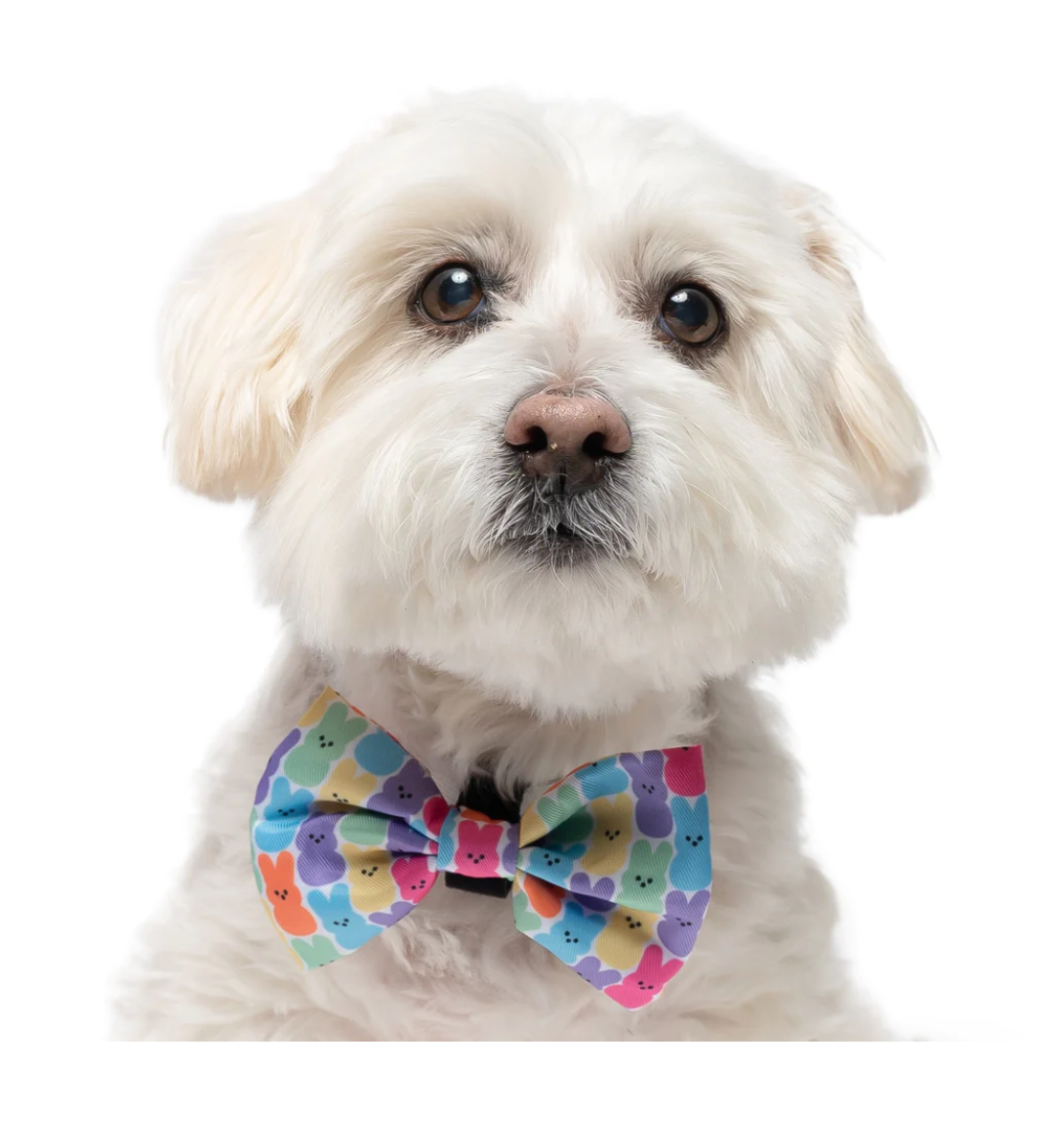 EASTER PEEPS - DOG COLLAR BOW TIE