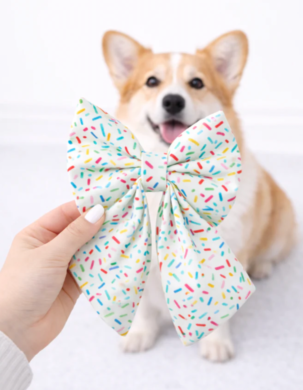 Birthday Sprinkles - sailor bow