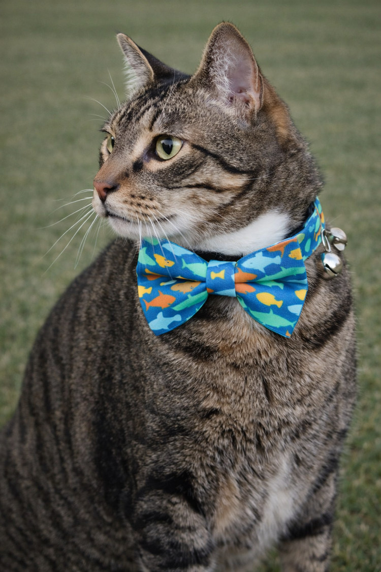 Kitty Chic ~ Purrrrrfect Pairs