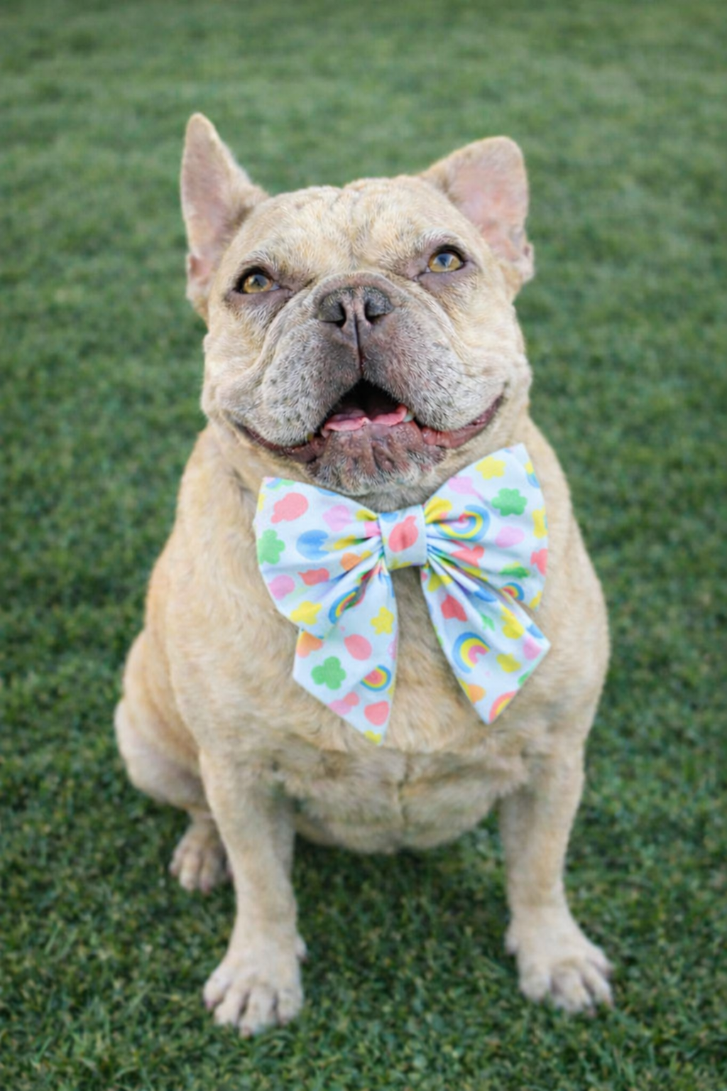 Bow Ties and Sailor Bows