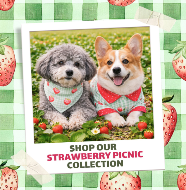 Weekly Releases:  Core Collection ~ Strawberry Picnic