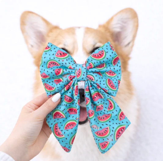 Watermelon Sugar - sailor bow 