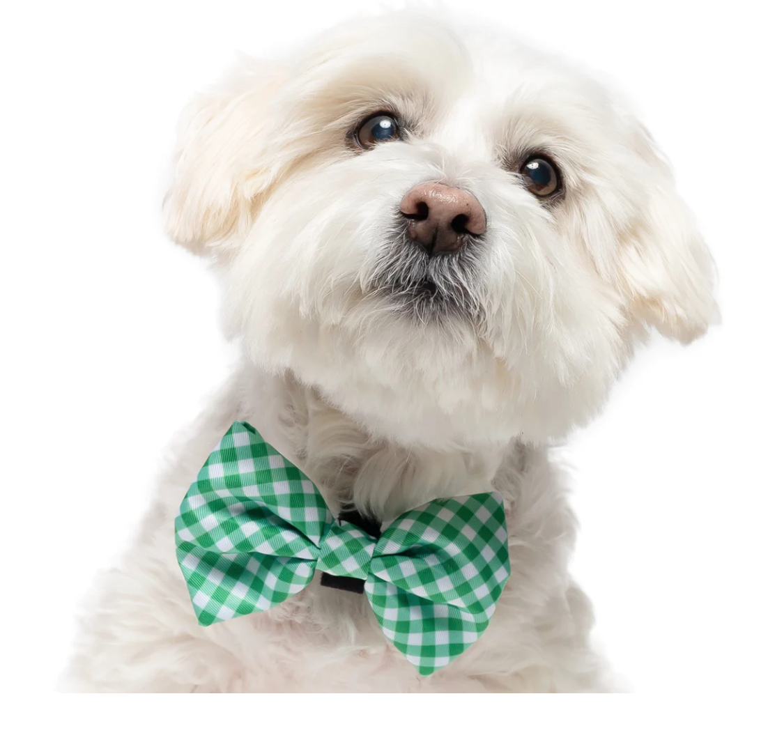 GREEN GINGHAM - COLLAR BOW TIE
