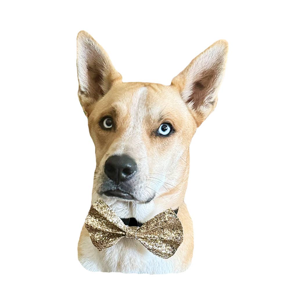 Hot Bows - Confetti BowTie for Dogs: Large (for dogs over 41 lbs)