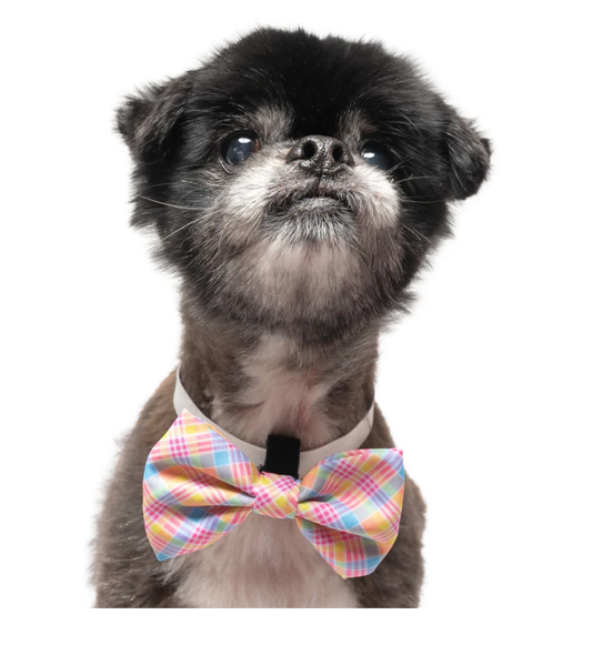 YELLOW SPRING PLAID  - DOG COLLAR BOW TIE