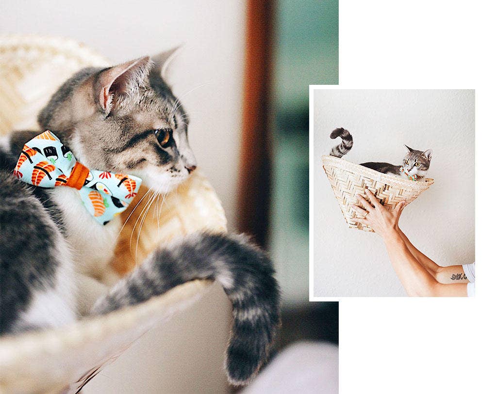 Made By Cleo - "Sushi Date" - Bow Tie for Cats + Small Dogs