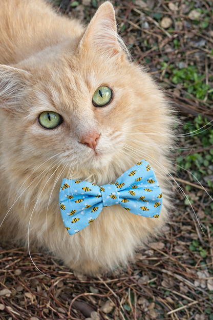 DAD LOVE - PET BOW TIE 