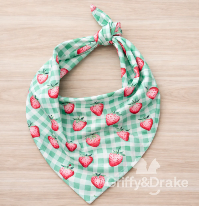 Strawberry Picnic 🍓 - Standard Bandana