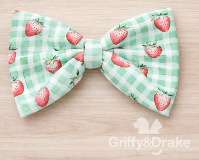 Strawberry Picnic 🍓 - Bow Tie