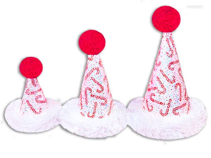 Hot Bows - Pooch Party Hats Assortment (Wholesale Only): 12 PC BOY/GIRL ASST