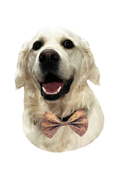 Hot Bows - Confetti BowTie for Dogs: Large (for dogs over 41 lbs)