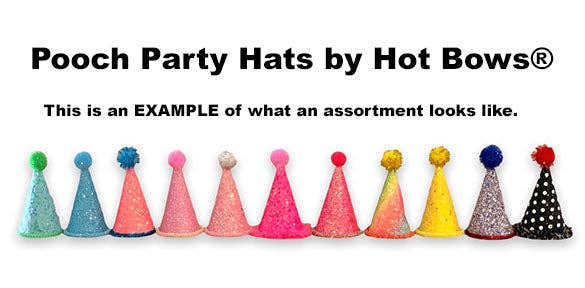 Hot Bows - Pooch Party Hats Assortment (Wholesale Only): 12 PC BOY/GIRL ASST